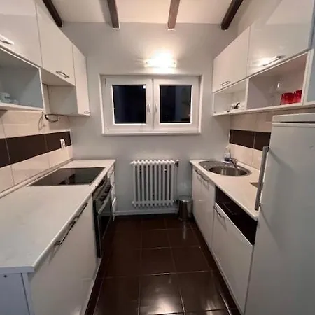 Apartament Shine